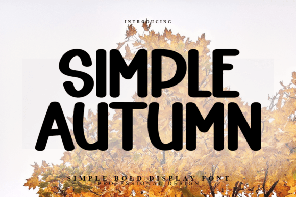 Simple Autumn: A Go-To Font for Modern, Seasonal Design