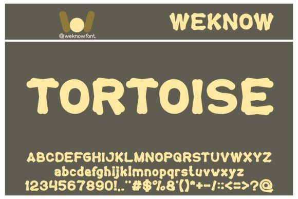 Tortoise: A Bold, Friendly Display Font for Impactful Designs
